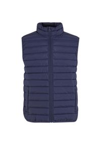 Podstawowa kamizelka puchowa Urban Classics. Kolor: niebieski. Materiał: puch. Długość rękawa: bez rękawów. Styl: elegancki #1