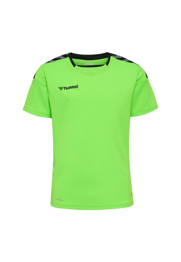 Jersey Hummel enfant hmlAUTHENTIC Poly HML. Kolor: zielony. Materiał: jersey. Sport: fitness