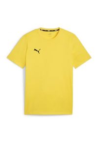 Koszulka męska Puma Team Goal Casuals Tee. Kolor: żółty. Materiał: materiał
