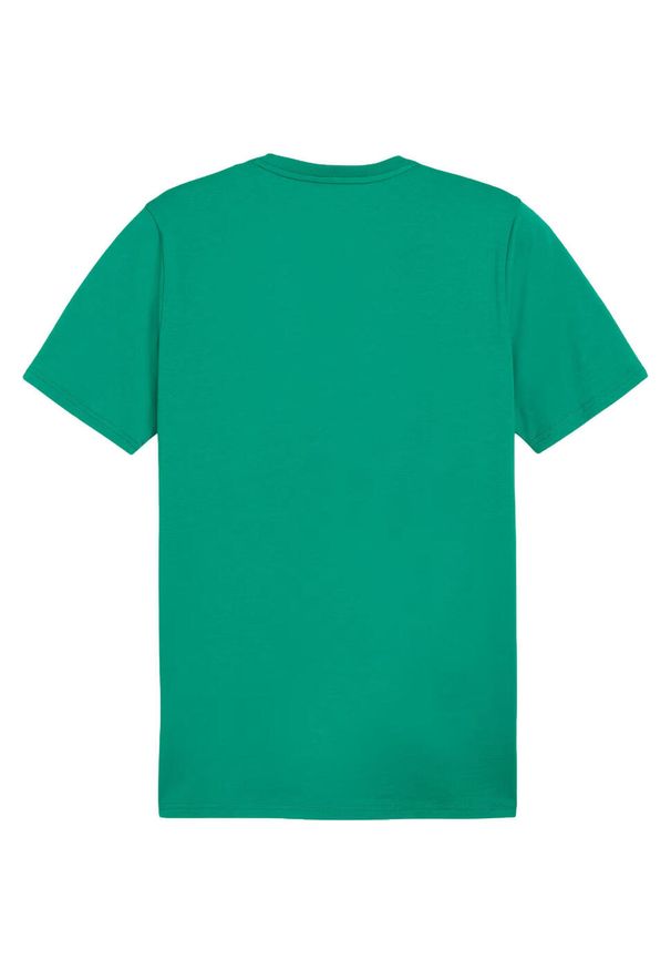 Koszulka Puma Team Goal. Kolor: zielony. Materiał: materiał