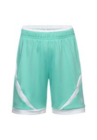 Huari - Spodenki Dziecięce Dentra. Kolor: biały, wielokolorowy, zielony. Styl: sportowy. Sport: turystyka piesza #1