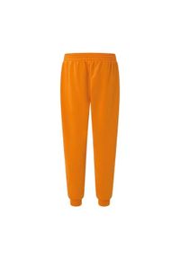 Oakley Spodnie Relax Jogger 2.0 Foa404843-52C. Kolor: pomarańczowy