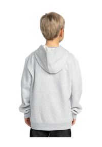 DC Shoes - Bluza z kapturem dla Chłopcy TAILGATE PH Szary. Typ kołnierza: kaptur. Kolor: szary. Materiał: tkanina, poliester, bawełna. Sport: skateboard