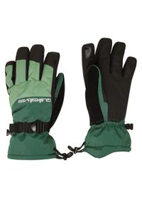 Quiksilver Rękawice narciarskie Mission EQYHN03193 Szary. Kolor: szary. Sport: narciarstwo #1