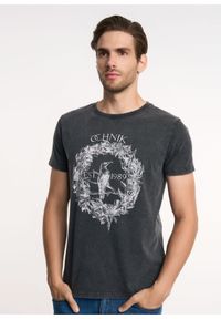 Ochnik - T-shirt męski. Kolor: szary. Materiał: bawełna. Wzór: nadruk