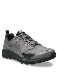 Buty Asics Gel-Trabuco Terra Sps 1203A238 Clay Grey/Graphite Grey 022. Kolor: szary. Materiał: materiał