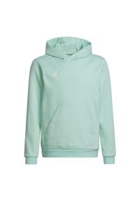 Adidas - Bluza piłkarska dla dzieci adidas Entrada 22 Hoody. Kolor: zielony. Sport: piłka nożna