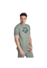 Koszulka sportowa Arena Icons T-Shirt. Kolor: zielony. Materiał: jersey, bawełna