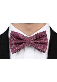 Mucha Męska w Zestawie z Poszetką - Alties - Fuksja w Paisley. Kolor: różowy. Wzór: paisley. Styl: elegancki, sportowy #3
