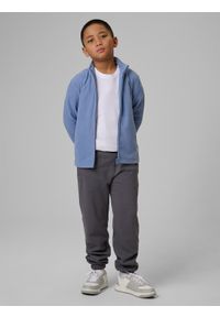 4f - 4F Polar regular bez kaptura chłopięcy - granatowy 122 (6-7 lat). Typ kołnierza: bez kaptura. Kolor: niebieski. Materiał: polar. Sezon: lato. Sport: wspinaczka, turystyka piesza #2