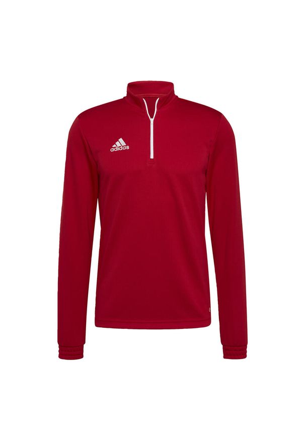 Bluza piłkarska męska Adidas Entrada 22 Training Top. Kolor: czerwony. Materiał: poliester. Sport: piłka nożna