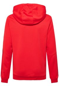 Bluza do piłki ręcznej dla dzieci Hummel hmlAUTHENTIC Poly. Kolor: czerwony, różowy, wielokolorowy. Sezon: zima