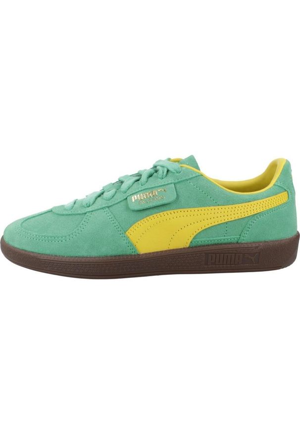 Buty do chodzenia dla dorosłych Puma Palermo. Kolor: zielony. Sport: turystyka piesza