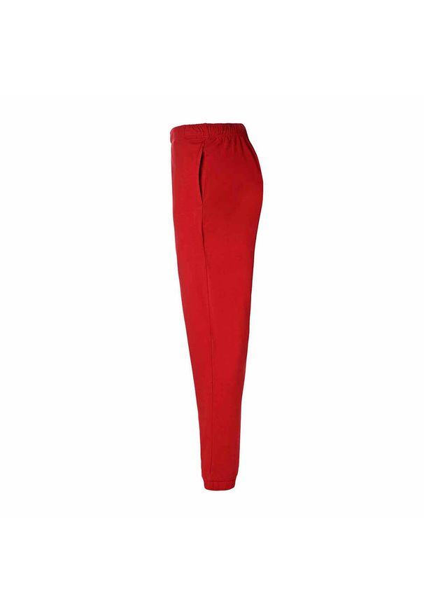 Spodnie do biegania Kappa Costi. Kolor: czerwony. Materiał: dresówka