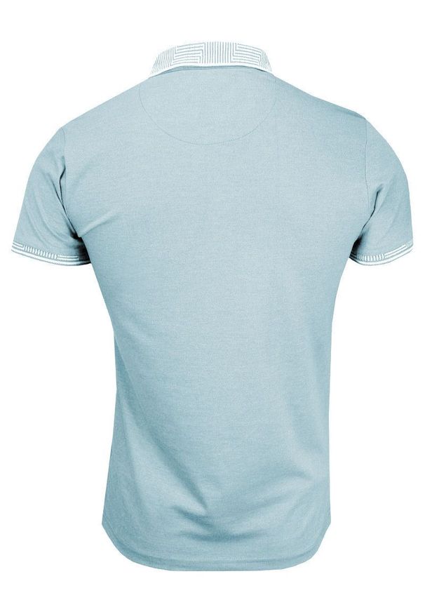 Koszulka POLO Błękitna Bawełniana, Męska, Krótki Rękaw, z Kołnierzykiem, Casualowa -Brave Soul. Okazja: na co dzień. Typ kołnierza: polo. Kolor: niebieski. Materiał: bawełna. Długość rękawa: krótki rękaw. Długość: krótkie. Sezon: wiosna, lato. Styl: casual