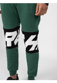 John Richmond - Richmond Sport Spodnie | UMA22088PA | Mężczyzna | Zielony. Okazja: na co dzień. Kolor: zielony. Materiał: bawełna, poliester. Wzór: aplikacja, nadruk. Styl: sportowy #7