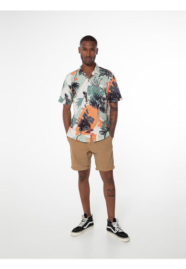 Koszulka męska Protest PRTLEARIE short sleeve shirt. Kolor: wielokolorowy