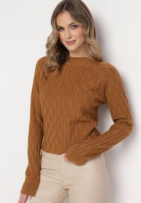 Born2be - Brązowy Klasyczny Sweter z Półgolfem Nordda. Kolor: brązowy. Materiał: bawełna. Styl: klasyczny #4