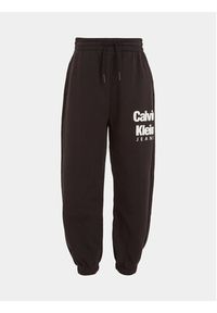 Calvin Klein Jeans Spodnie dresowe IB0IB01816 Czarny Regular Fit. Kolor: czarny. Materiał: bawełna #6