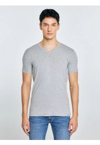 Big-Star - Koszulka męska v-neck z bawełny supima szara Supiclassicov 901. Kolor: szary. Materiał: bawełna. Długość: długie #6