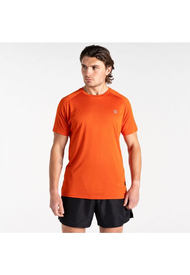 DARE 2B - Męska koszulka trekkingowa Accelerate. Kolor: pomarańczowy. Materiał: tkanina. Wzór: nadruk. Sport: turystyka piesza