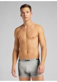Lee - LEE 2-PACK TRUNK DWUPAK MĘSKIE BOKSERKI SLIPY GREY MELE LP03CK37 112141101
