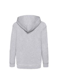 FRUIT OF THE LOOM - Bluza Dziecięca Klasyczna Gładka. Kolor: szary. Wzór: gładki