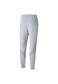 Puma Spodnie Mapf1 53187902. Kolor: szary