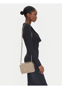 Aigner Torebka 135315 Szary. Kolor: szary. Materiał: skórzane #1