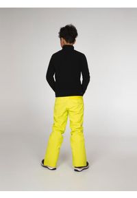 Bluza dziecięca Protest WILLOWY JR 1/4 zip top. Kolor: czarny. Sezon: zima. Sport: narciarstwo