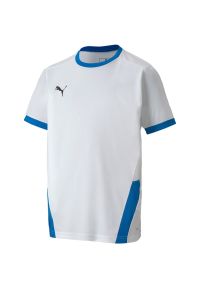 Podkoszulek Puma Teamgoal 23 Jersey Jr, Dzieci. Kolor: biały, niebieski, wielokolorowy. Materiał: poliester