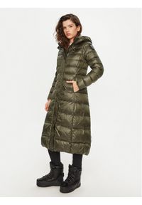 Blauer Płaszcz zimowy 24WBLDK03040 Zielony Regular Fit. Kolor: zielony. Materiał: syntetyk. Sezon: zima
