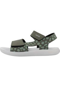 Geox - Sandały GEOX J SANDAL LIGHTFLOPPY Zielony. Kolor: zielony. Materiał: syntetyk, tkanina. Sezon: lato