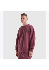 Diadora - Bluza DIADORA SWEATSHIRT CREW MANIFESTO. Kolor: fioletowy