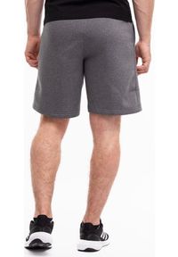 Spodenki sportowe męskie Nike Park 20 Short. Kolor: szary