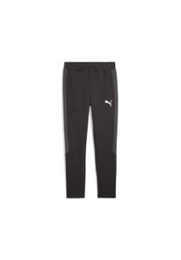 Puma - PUMA SPODNIE EVOSTRIPE 67593201 r XXL. Kolor: czarny