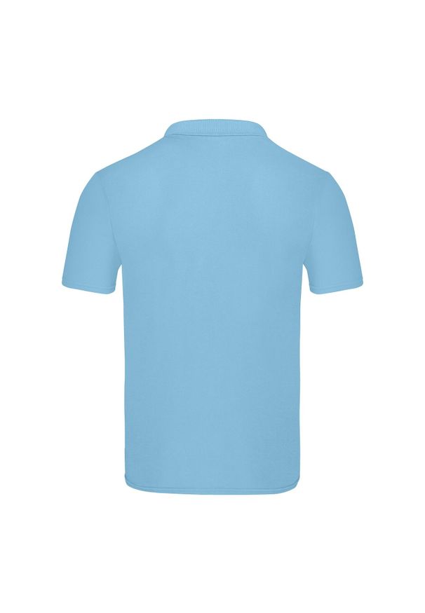 FRUIT OF THE LOOM - Męska Oryginalna Koszulka Polo. Typ kołnierza: polo. Kolor: niebieski