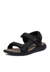 Nautica Sandały CEO-RINO-02 MBS Czarny. Kolor: czarny. Materiał: materiał #3
