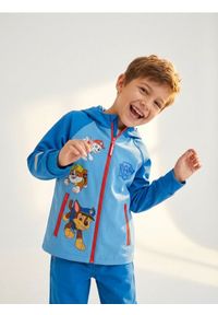 Sinsay - Kurtka softshell z kapturem PAW Patrol - Inny. Typ kołnierza: kaptur. Materiał: softshell #1