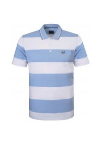 Koszulka Polo - Męska - Pako Jeans - Biało-Niebieskie Pasy. Okazja: na co dzień. Typ kołnierza: polo. Kolor: niebieski. Materiał: bawełna. Wzór: paski, prążki. Styl: casual