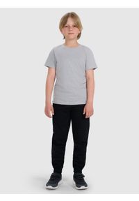 4f - 4F T-shirt regular gładki chłopięcy - szary 122 (6-7 lat). Okazja: na co dzień. Kolor: szary. Materiał: bawełna, materiał, jersey. Długość rękawa: krótki rękaw. Długość: krótkie. Wzór: gładki. Sezon: lato. Styl: klasyczny, młodzieżowy, sportowy, casual