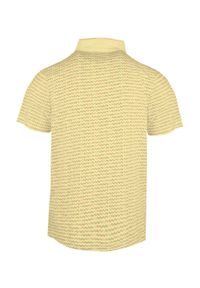 Koszulka Polo - Męska - Pako Jeans - Żółta w Drobny Wzór. Okazja: na co dzień. Typ kołnierza: polo. Kolor: żółty, wielokolorowy, złoty. Materiał: bawełna. Styl: casual #3