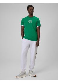4f - 4F T-shirt regular z nadrukiem męski - zielony L. Okazja: na co dzień. Kolor: zielony. Materiał: bawełna, materiał, dzianina. Wzór: nadruk. Styl: casual #2