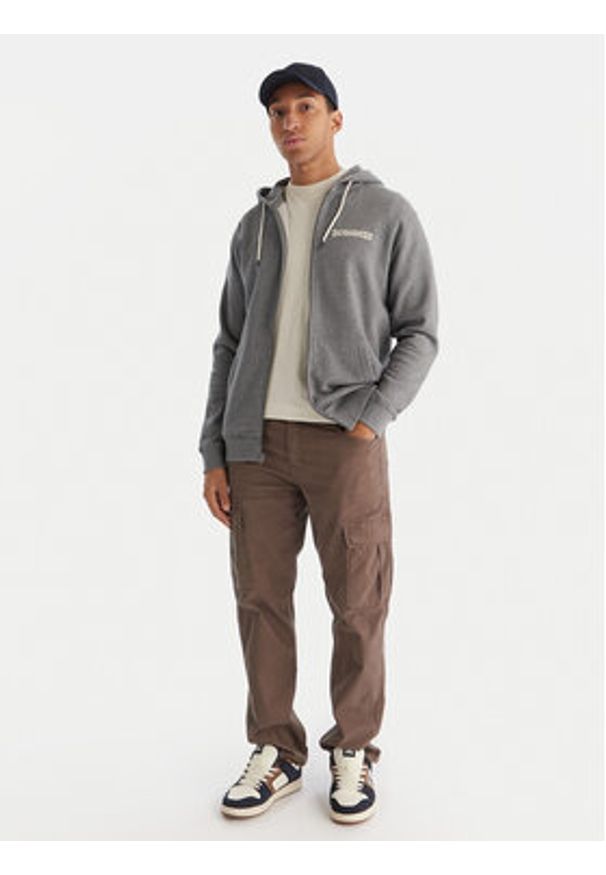 DC Shoes Bluza Baseline ADYFT03389 Szary Regular Fit. Kolor: szary. Materiał: bawełna