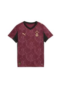 Puma - Młodzieżowa trzecia koszulka Galatasaray SK 25/26 PUMA. Kolor: czerwony, beżowy, wielokolorowy. Sport: piłka nożna
