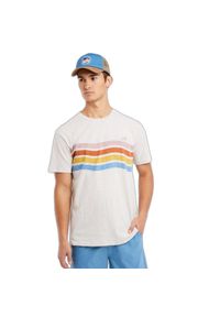 Koszulka Protest Prtexmouth. Kolor: biały. Materiał: bawełna. Wzór: paski, nadruk. Sezon: lato. Sport: turystyka piesza #1