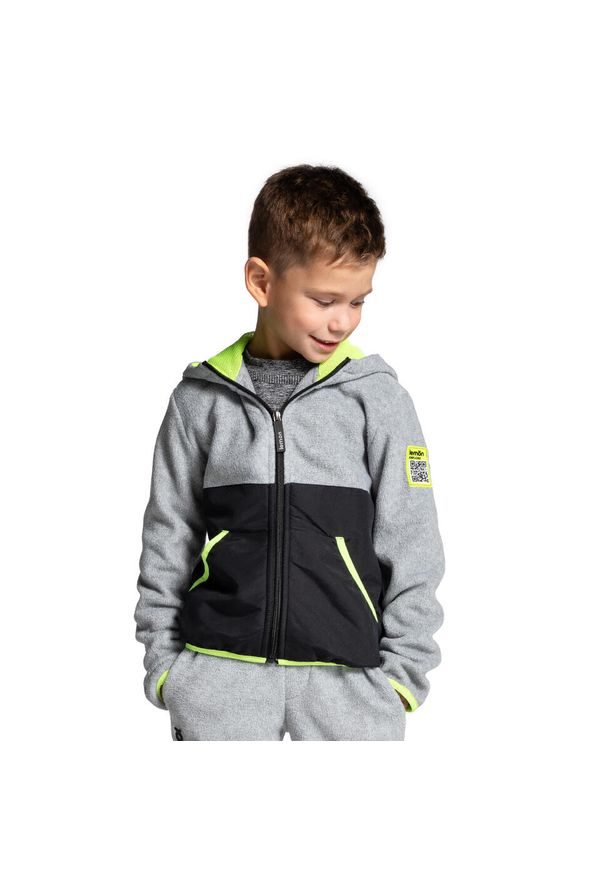 Polar turystyczny dla dzieci bluza rozpinana Lemon Explore ZL4. Typ kołnierza: kaptur. Kolor: szary. Materiał: poliester. Sezon: zima. Sport: turystyka piesza