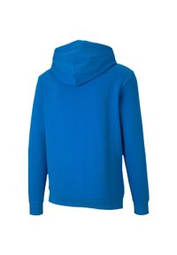 Bluza Puma TeamGoal 23 Casuals męska. Kolor: niebieski