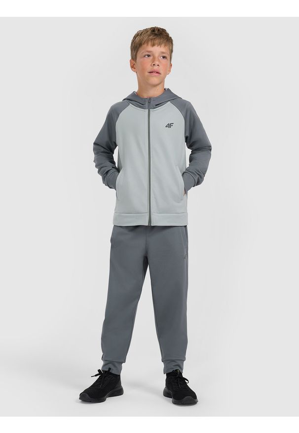 4f - 4F Spodnie sportowe szybkoschnące joggery chłopięce - szare 134/140 (8-10 lat). Kolor: szary. Materiał: dzianina, skóra. Długość: długie. Sezon: lato