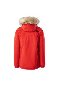 Iguana - Parka Męska Ocieplana Taavo. Kolor: czerwony. Sport: turystyka piesza